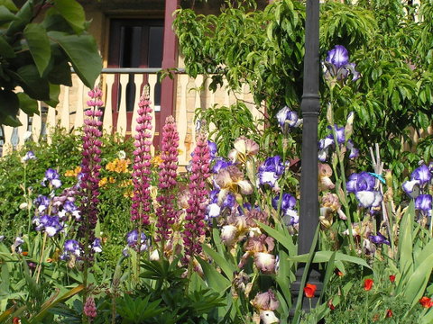 Bendalls Bed And Breakfast - Accommodation Mooloolaba 19