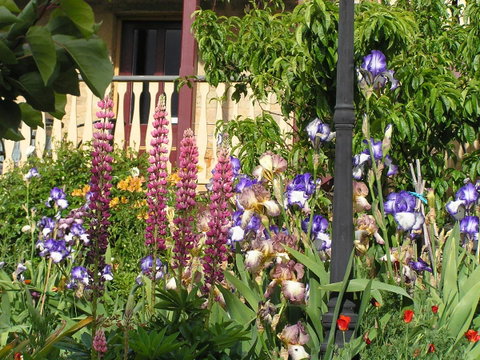 Bendalls Bed And Breakfast - Accommodation Mooloolaba 8