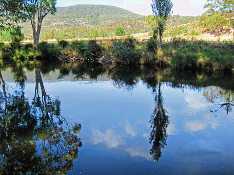 Platypus Playground Riverside Cottage - Accommodation Mooloolaba 24