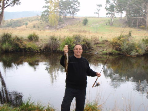 Platypus Playground Riverside Cottage - Accommodation Mooloolaba 17