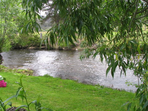 Platypus Playground Riverside Cottage - Accommodation Mooloolaba 13