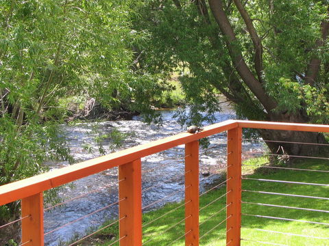 Platypus Playground Riverside Cottage - Accommodation Mooloolaba 11