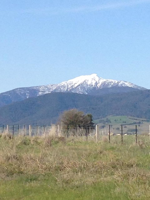 High Country Holiday Park - Accommodation Mooloolaba 34