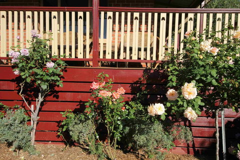 Oxford Rise Apartment - Accommodation Mooloolaba 21