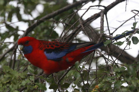 Oxford Rise Apartment - Accommodation Mooloolaba 22