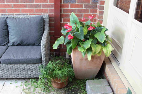 Oxford Rise Apartment - Accommodation Mooloolaba 16