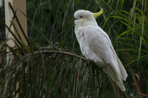 Oxford Rise Apartment - Accommodation Mooloolaba 23