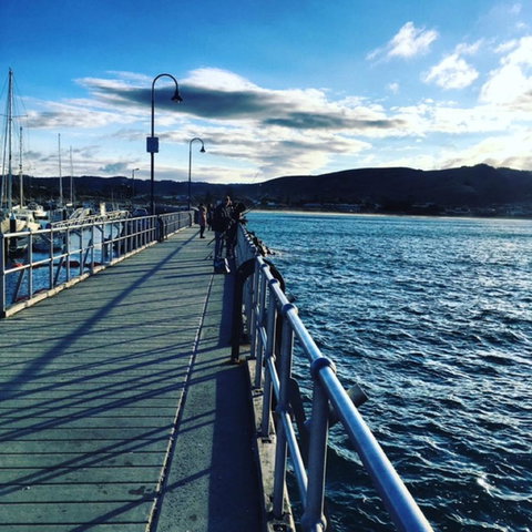 The Dolphin Apartments - Accommodation Mooloolaba 16