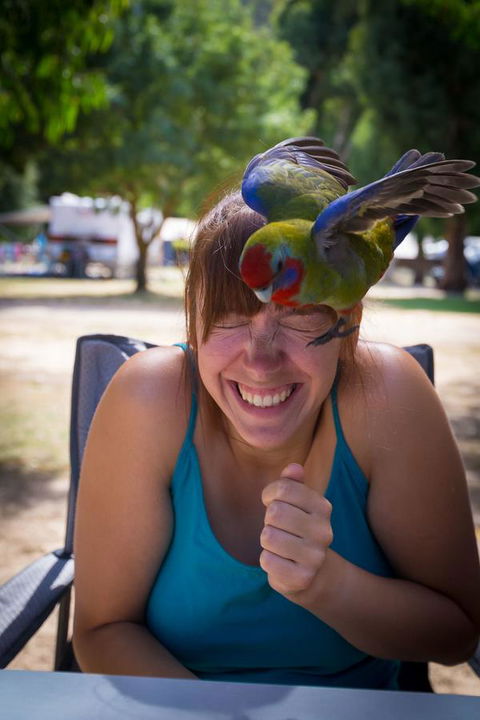 Halls Gap Lakeside Tourist Park - Accommodation Mooloolaba 5