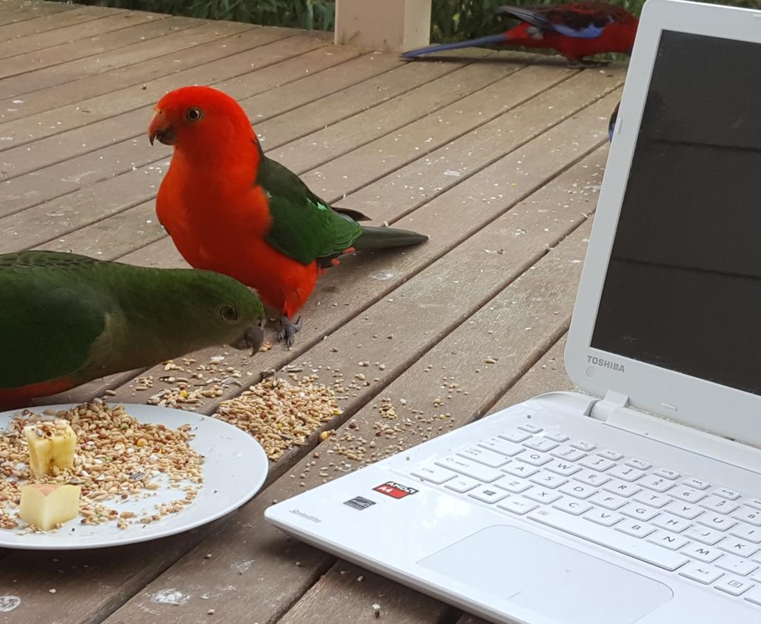 Accommodation Mooloolaba