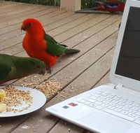 Wilsons Promontory Motel - Accommodation Mooloolaba