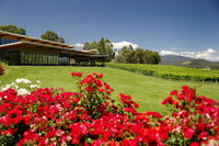 Book Yarra Glen Accommodation Vacations Accommodation Mooloolaba Accommodation Mooloolaba
