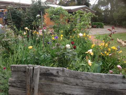 Mud Hollow Barn - Accommodation Mooloolaba 12