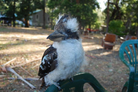 Gariwerd Motel - Accommodation Mooloolaba 11