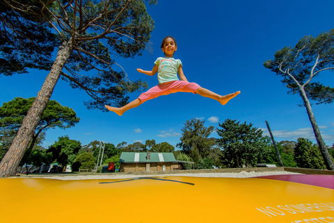 BIG4 Castlemaine Gardens - Accommodation Mooloolaba 21