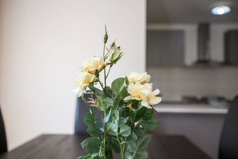 Holiday Rose - Accommodation Mooloolaba 8