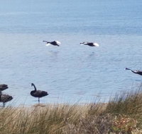 The DOLPHIN PLACE - Accommodation Mooloolaba