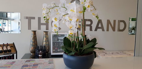 The Grand Motel - Accommodation Mooloolaba 1