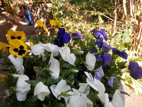 The Hideaway Luxury B&B Retreat - Accommodation Mooloolaba 1