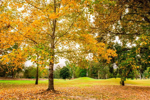 The Retreat At Wisemans - Accommodation Mooloolaba 1
