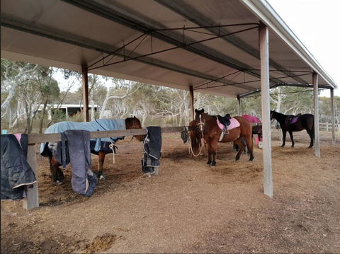 The Saddle Camp Tiny House, Braidwood - Accommodation Mooloolaba 1