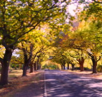The Shelter Shed Garden Studio Apartment - Accommodation Mooloolaba