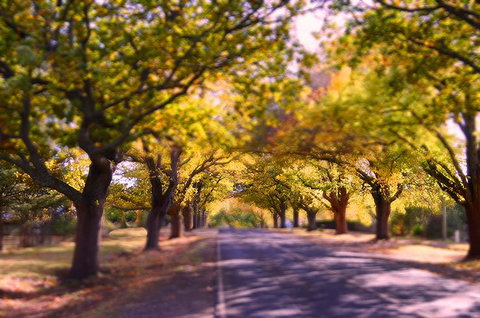 The Shelter Shed Garden Studio Apartment - Accommodation Mooloolaba 0