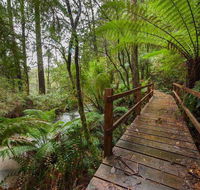 The Source Otways - Accommodation Mooloolaba