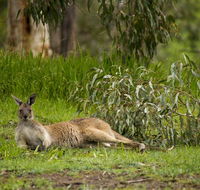 The Stirling Golf Club - Accommodation Mooloolaba