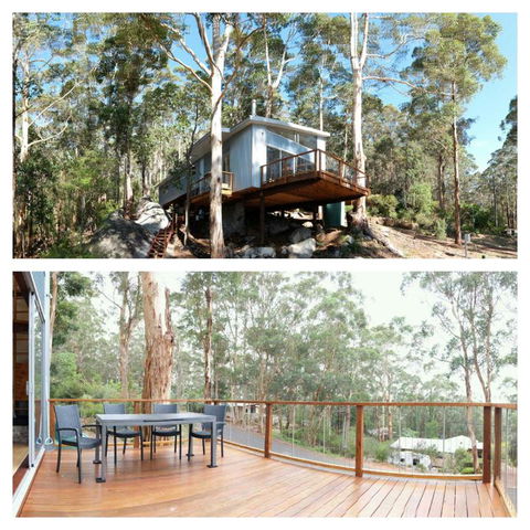 The Tree House - Accommodation Mooloolaba 3