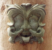 The Tree House - Accommodation Mooloolaba