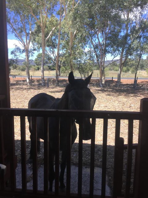 Thie My Chree Retreat - Accommodation Mooloolaba 3