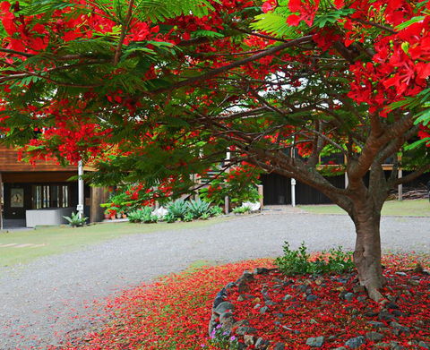 TRANQUILO BEACH HOUSE - Accommodation Mooloolaba 2