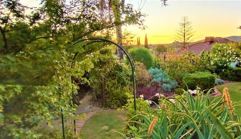 Treetops Escape - Accommodation Mooloolaba 1