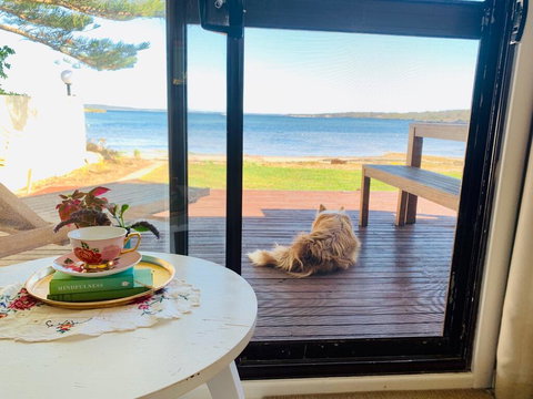 Vandy's Shack At Mount Dutton Bay - Ideal For Couples And Small Families - Accommodation Mooloolaba 3