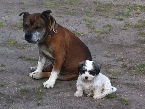 Walcha Royal Cafe & Accommodation - Accommodation Mooloolaba 3