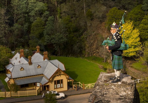 Walhalla Wild Cherry - Accommodation Mooloolaba 2