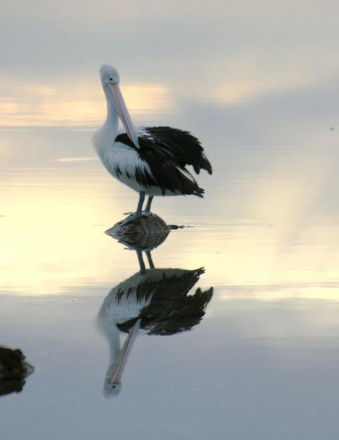 Wanderers Rest Of Kangaroo Island - Accommodation Mooloolaba 3