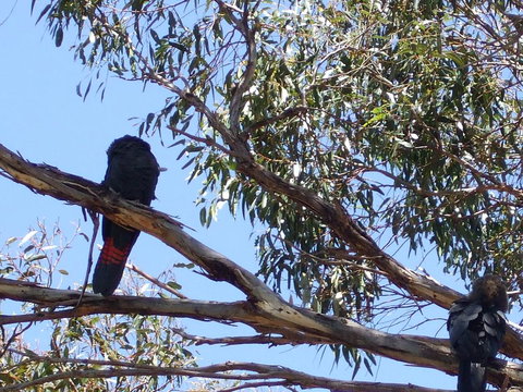 Wanderers Rest Of Kangaroo Island - Accommodation Mooloolaba 2