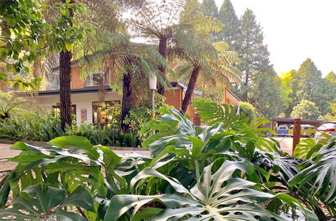 Warburton Motel - Accommodation Mooloolaba 0