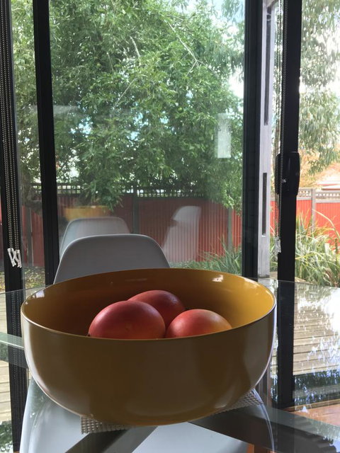 Daydream Cottage - Accommodation Mooloolaba 19