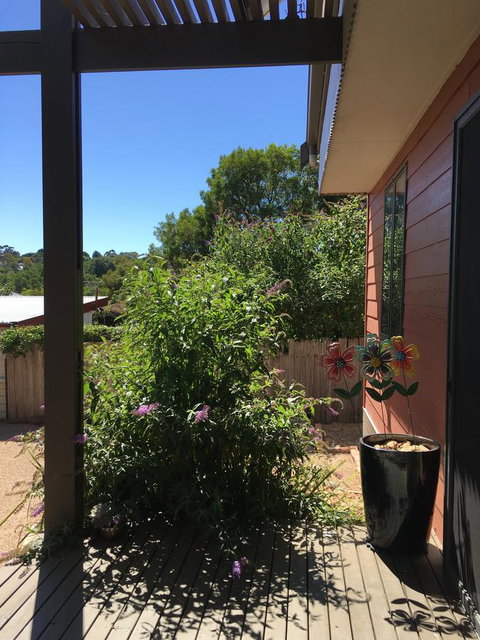 Daydream Cottage - Accommodation Mooloolaba 10