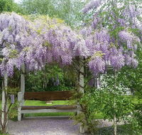 Amelina Cottages - Accommodation Mooloolaba