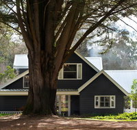 The Orchard - Accommodation Mooloolaba