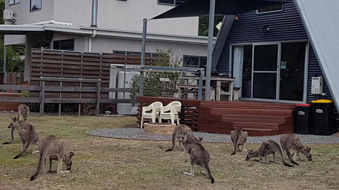 The A-Frame - Accommodation Mooloolaba 3