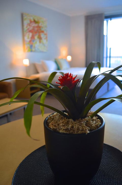 Mansfield Apartments - Accommodation Mooloolaba 21