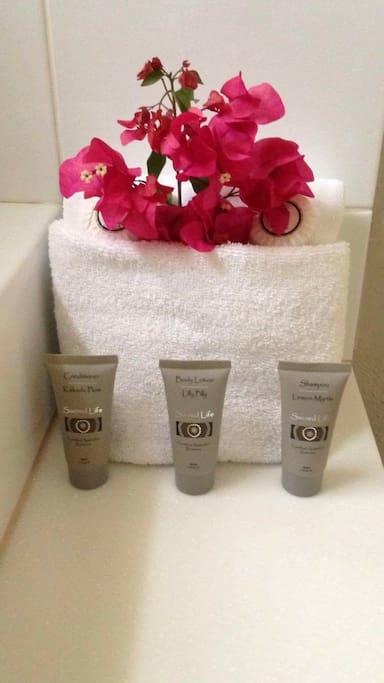 Serenity - Accommodation Mooloolaba 11