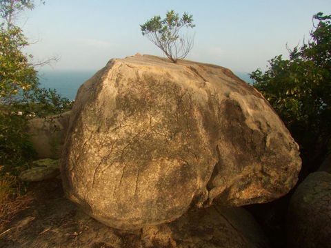 Serenity - Accommodation Mooloolaba 18