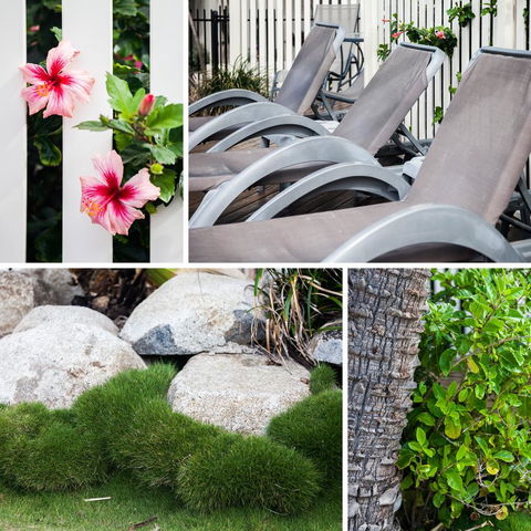 Coolum Caprice - Accommodation Mooloolaba 22