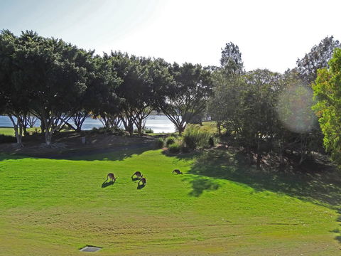 Waterfront Resort Villa With Buggy - Accommodation Mooloolaba 32